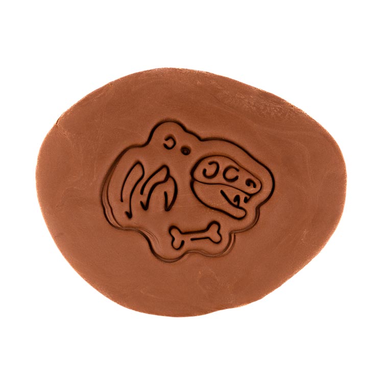 Fosilie 3 | dvoudílné vykrajovátko