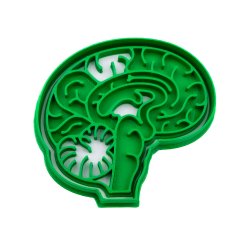 Mozek | dvoudílné vykrajovátko