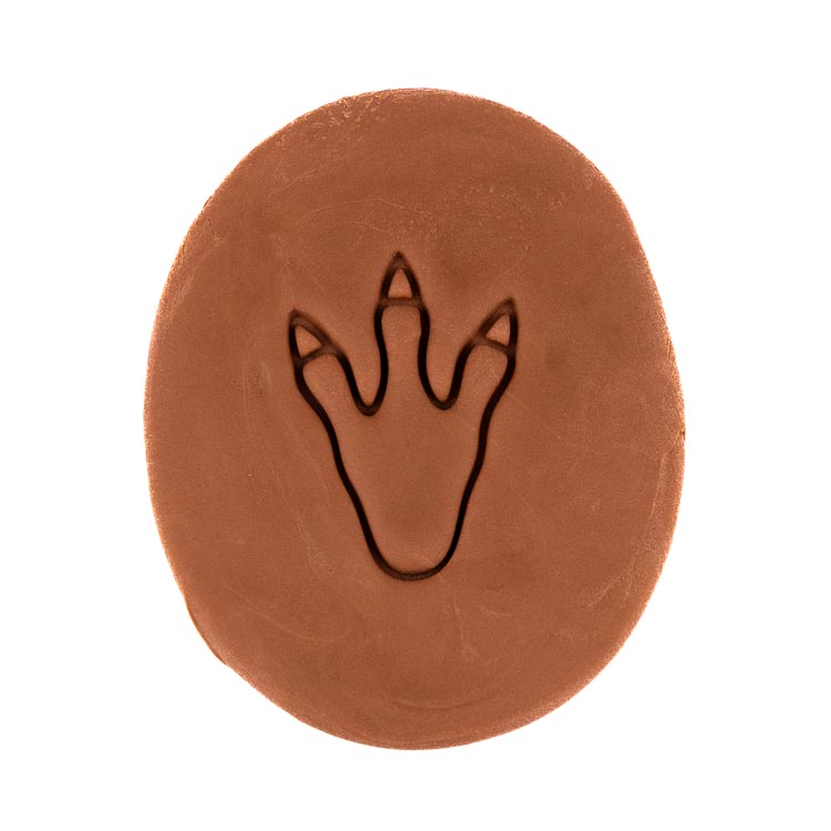 Dinosauří stopa 2 | dvoudílné vykrajovátko