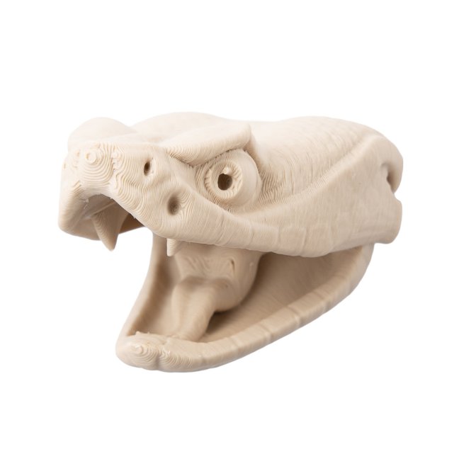 Chřestýš | 3D magnetka k vybarvení