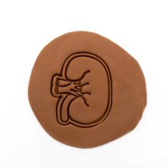 Ledvina | dvoudílné vykrajovátko