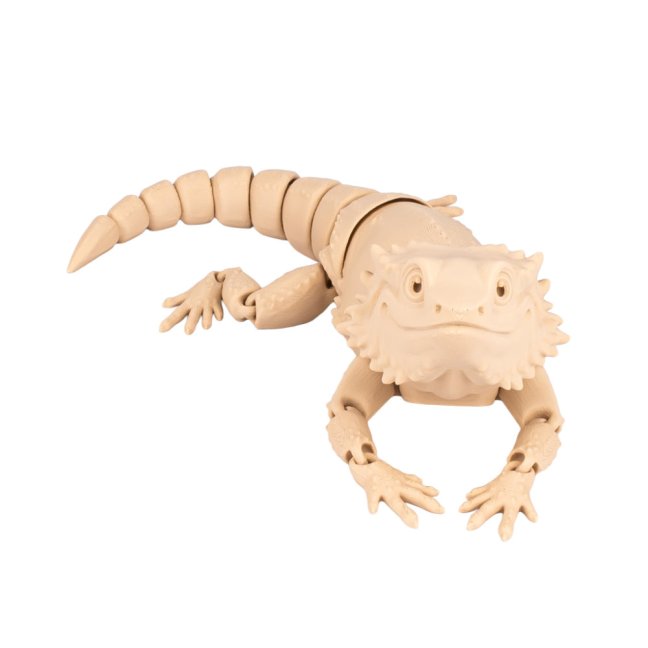 Agama Vousatá | pohyblivá 3D omalovánka + barvy a štětec