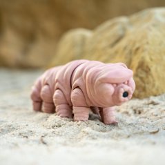 Želvuška | pohyblivá 3D omalovánka + barvy a štětec