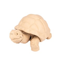 Želva | pohyblivá 3D omalovánka + barvy a štětec