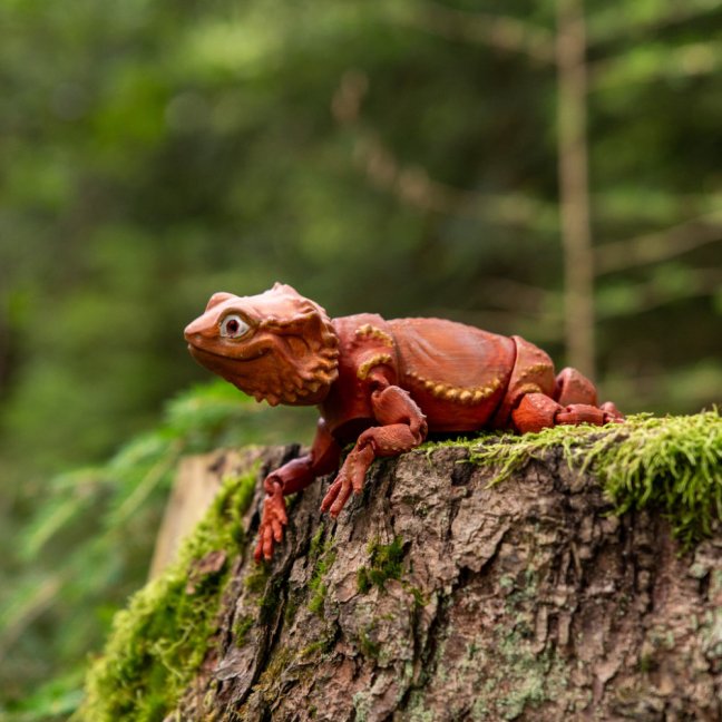 Agama Vousatá | pohyblivá 3D omalovánka + barvy a štětec