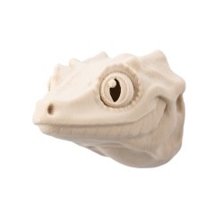 Gekončík | 3D magnetka k vybarvení