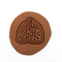 Plíce | dvoudílné vykrajovátko