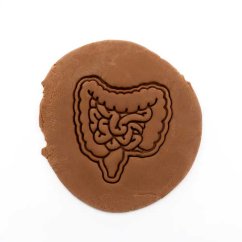 Střeva | dvoudílné vykrajovátko