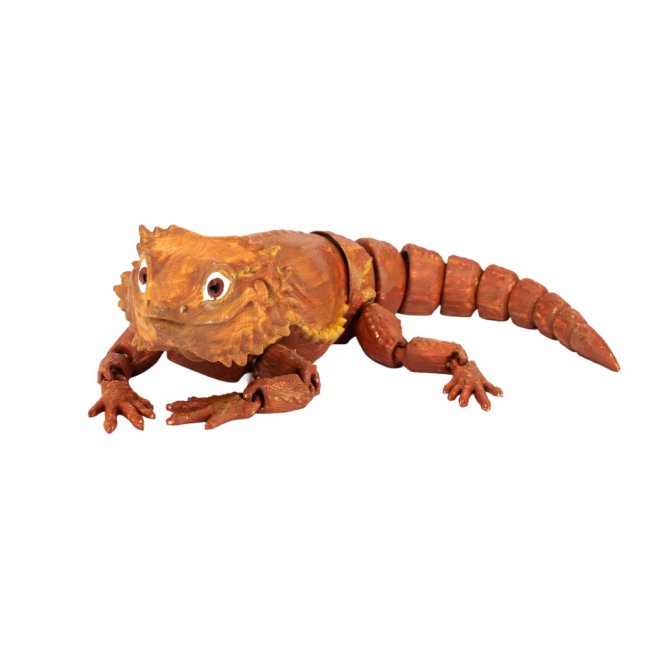 Agama Vousatá | pohyblivá 3D omalovánka + barvy a štětec