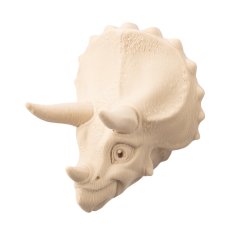 Triceratops | 3D magnetka k vybarvení
