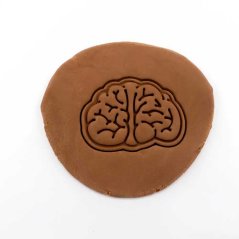 Mozek 2 | dvoudílné vykrajovátko