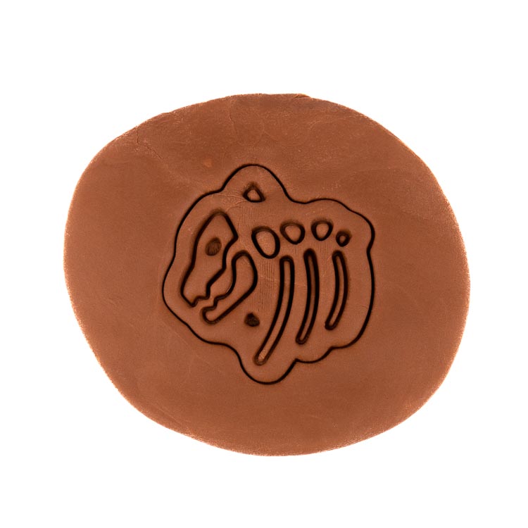 Fosilie 1 | dvoudílné vykrajovátko