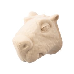 Kapybara | 3D magnetka k vybarvení