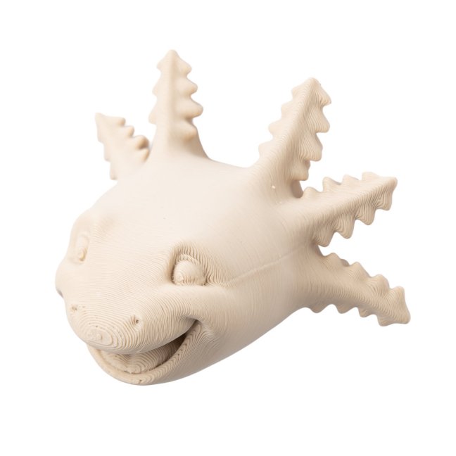 Axolotl | 3D magnetka k vybarvení